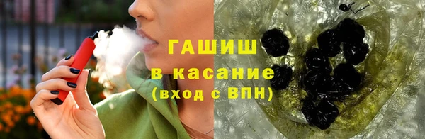 сатива Елизово