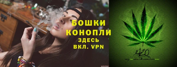 гашик Ступино
