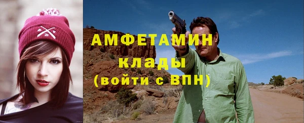 сатива Елизово