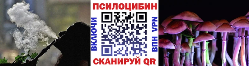 Галлюциногенные грибы Magic Shrooms  ссылка на мегу ссылка  даркнет клад  Новозыбков 